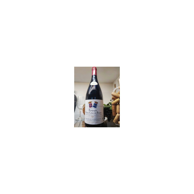 PROMO 6 MAGNUMS HAUTES COTES DE BEAUNE ROUGE 2022 PROMO 6 MAGNUMS HAUTES COTES DE BEAUNE ROUGE 2022